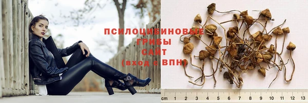 СК Абинск