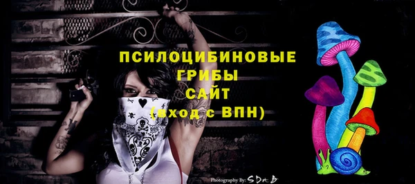 СК Абинск