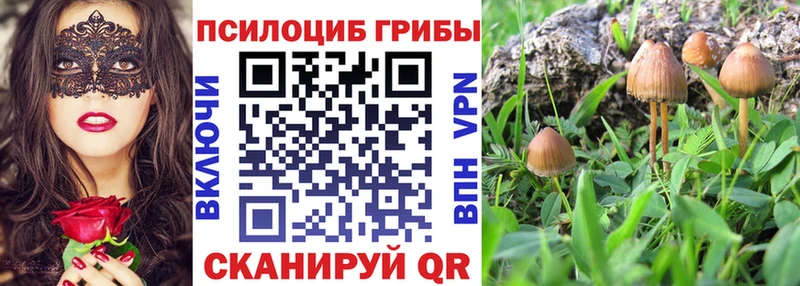Псилоцибиновые грибы Psilocybine cubensis  как найти закладки  mega как войти  Сергач 